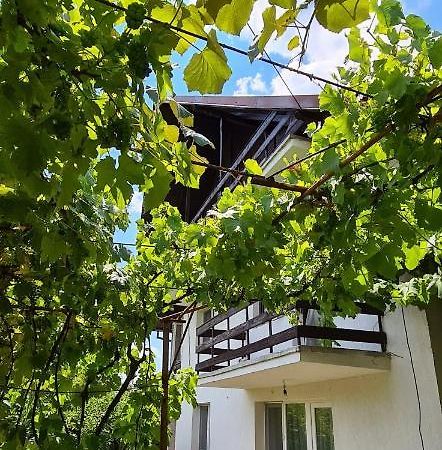 Ferienwohnung Cazare Vila Maria Curtea de Argeş Exterior foto