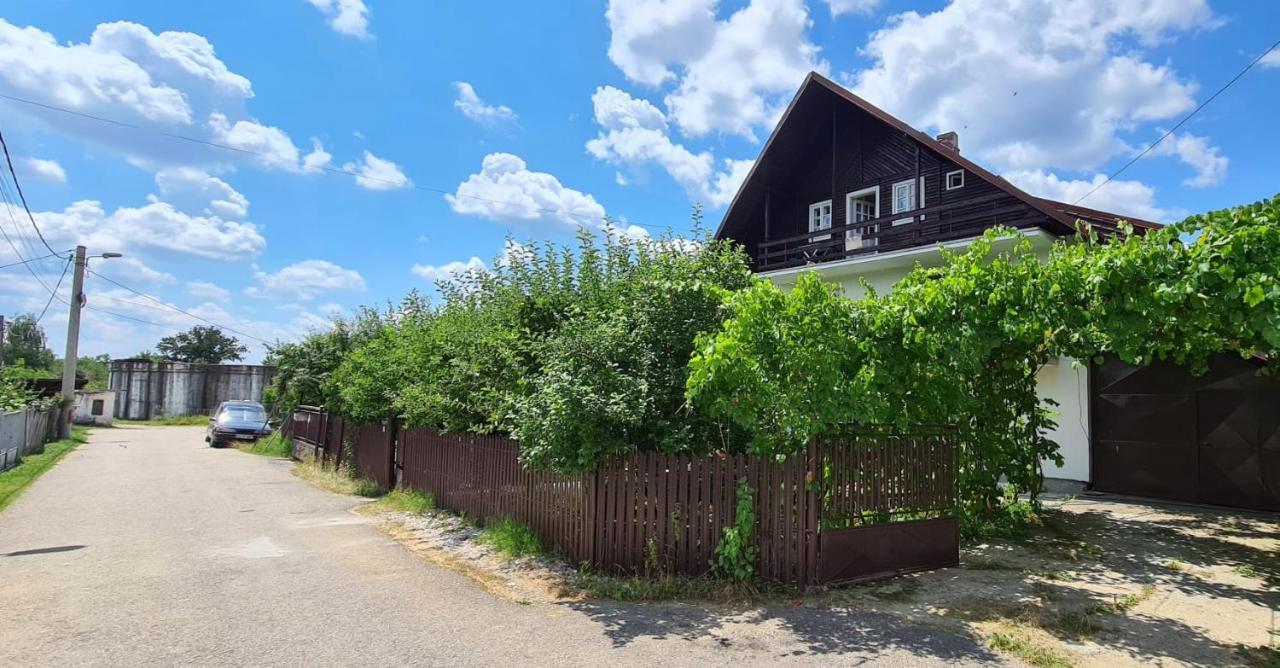 Ferienwohnung Cazare Vila Maria Curtea de Argeş Exterior foto