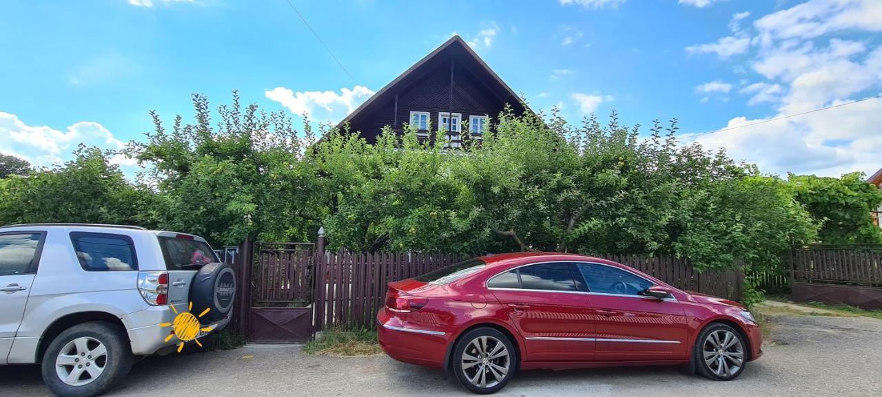 Ferienwohnung Cazare Vila Maria Curtea de Argeş Exterior foto